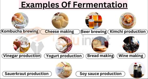 10 Examples Of Fermentation