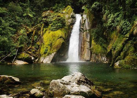 Fiordland National Park: The Complete Guide