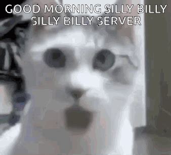 Silly Billy Server Yuze GIF - Silly billy server Silly billy Yuze - Discover & Share GIFs