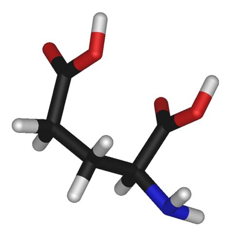 Glutamic acid - wikidoc