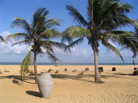 3 Beaches in Negombo for an Ideal Beachside Vacation