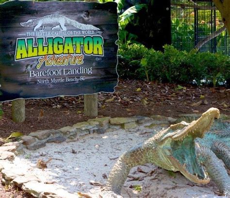 Alligator Adventure - North Myrtle Beach Area Guide