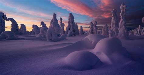 Experience Arctic winter in Swedish Lapland