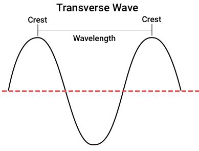 Flexi answers - What is a transverse wave? | CK-12 Foundation