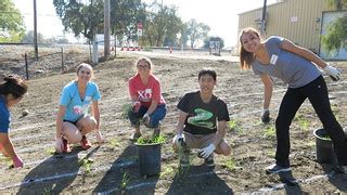 UC Davis students volunteer for a community service day to… | Flickr