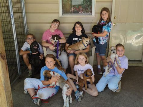 Girl Scouts Volunteer at Mostly Mutts | West Cobb, GA Patch