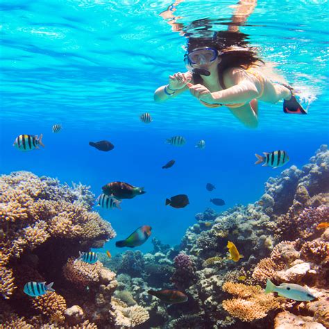 6 Best Places for Scuba Diving in Andaman (2019) - The Land of Beauty