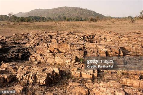 Chota Nagpur Plateau Photos and Premium High Res Pictures - Getty Images