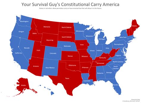 What Is Constitutional Carry In Florida 2024 - Filide Sybila