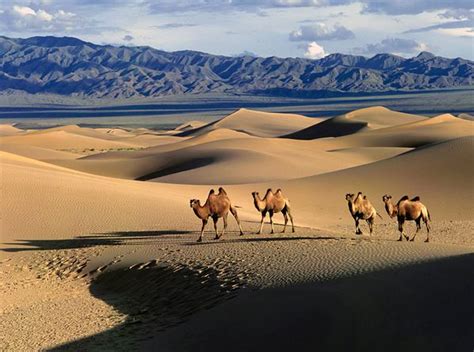 Mongolia | Deserts of the world, Best countries to visit, Largest desert