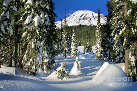 Mt Rainier at Reflection Lakes in Winter Photograph by Inge Johnsson ...