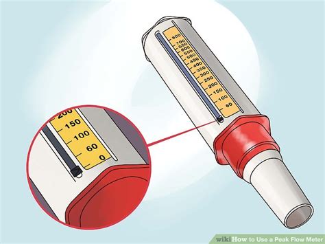 How to Use a Peak Flow Meter: 13 Steps (with Pictures) - wikiHow