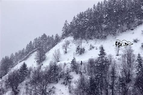 2023白马雪山游玩攻略,...山，站在海拔4292m的垭口 ...【去哪儿攻略】