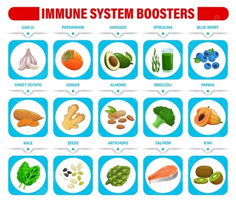 Immune System Boosters Chart With Healthy Food And Healthcare Nutrition ...