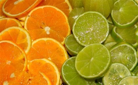 Beneficios saludables de as Naranjas y los Limones | Plantas Saludables