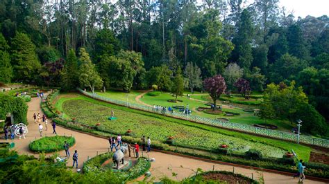 Ooty Botanical Gardens | Fasci Garden