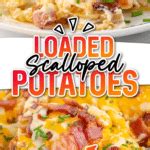 Loaded Scalloped Potatoes | Side Dish | The Best Blog Recipes