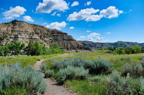 Teddy roosevelt national park - sgroupsilope