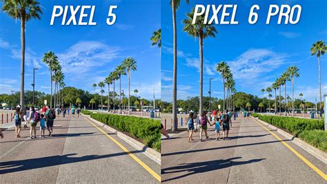 Google Pixel 6 Pro vs Pixel 5 Camera Test: Better or Worse? - iPhone Wired