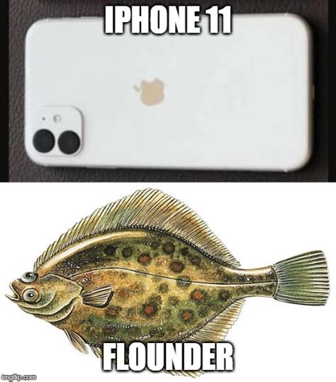 flounder Memes & GIFs - Imgflip