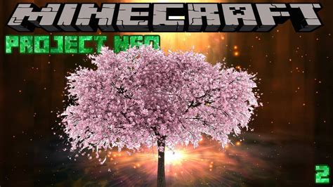 PROJECT NEO - "THE CHERRY BLOSSOM FOREST" - EPISODE 2 (MINECRAFT 1.15.2 MODDED SMP) - YouTube