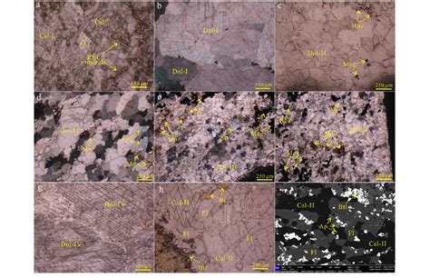 Carbonate morphology and mineral association in different types of ...