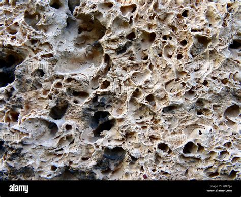 Porosity on a rock used as building material Stock Photo - Alamy