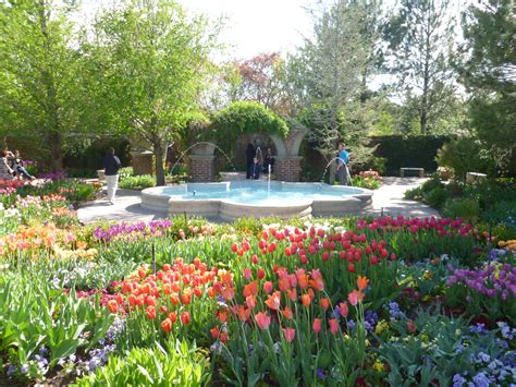 people are standing in the middle of a garden with colorful flowers and plants around it