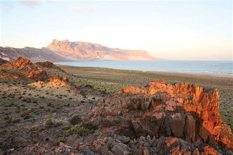 10 Beautiful Socotra Island Images - Fontica Blog