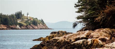 My Favorite Preserve – Monroe Island – Maine Coast Heritage Trust