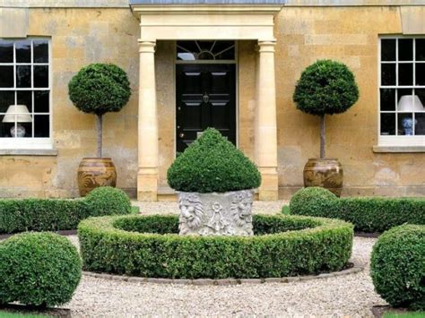 How To Create An Elegant Outdoor Garden Topiary | GARDENS NURSERY