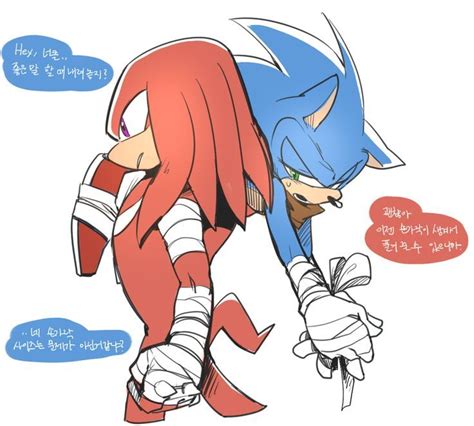 Pin by Aniwis Senpai on Knuxonic :3 | Sonic fan characters, Sonic funny, Sonic