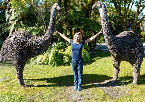 The foot of a Moa. These birds were 12ft tall, 230kg (510 lb) and were alive until ~1440 in New ...