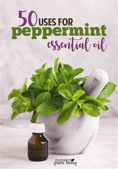 50 Amazing Uses for Peppermint Oil