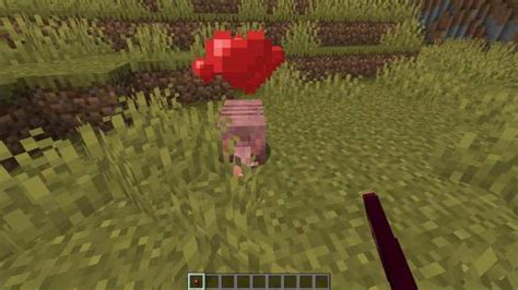 How to find and breed Armadillos in Minecraft