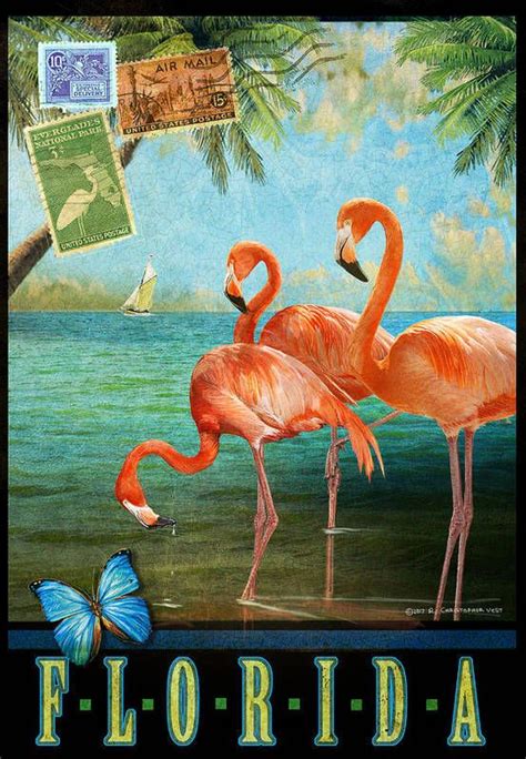 Florida Flamingo Poster 3 Art Print by R christopher Vest | Florida ...