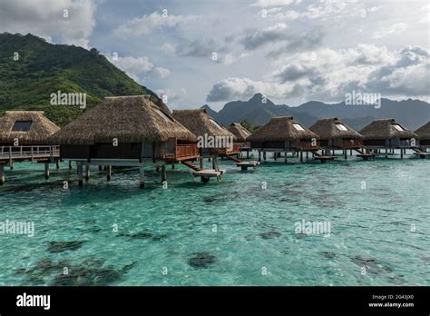 Overwater bungalows at the Hilton Moorea Lagoon Resort & Spa, Moorea ...