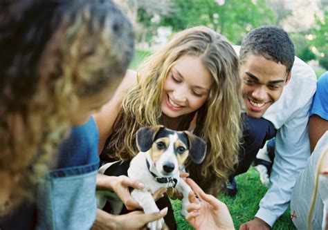 8 First Time Puppy Owner Tips for More Smiles & Less Stress