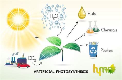 Artificial Photosynthesis As A Renewable Energy Source