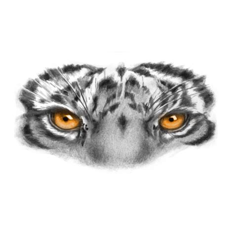 Eye of the Tiger Tattoo | Tiger eyes tattoo, Tiger face tattoo, Tiger ...