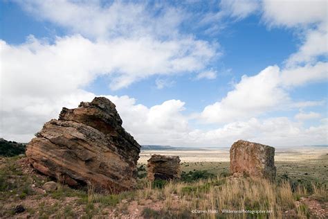 The Edge of the Llano Estacado