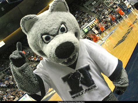 Getting to Know University of Nevada Wolf Pack - Florida Gators