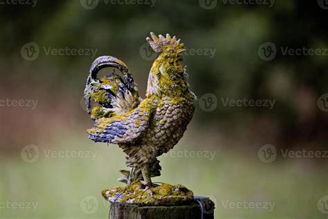 Old Rooster Statue 5906440 Stock Photo at Vecteezy