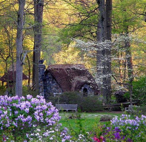 Cabins And Cottages: Beautiful little cottage in the woodshellip;.. I ...