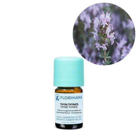 Thyme Thymol Essential Oil - 5g – Healthy Traditions