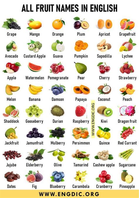 Fruits Name List, Fruit List, Eat Fruit, Fruits And Vegetables Names, All Fruits, Different ...