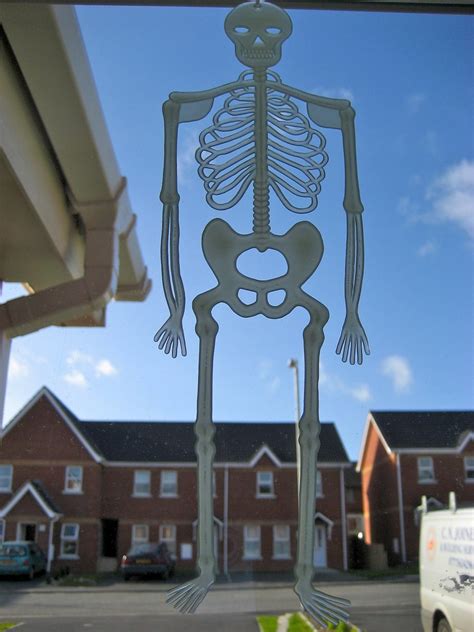 Skeleton in Window | The glow-in-the-dark skeleton hanging i… | Flickr