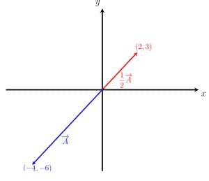 Multiplication by a scalar - Explanation and Examples