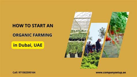 How to Start an Organic Farming in Dubai, UAE? Company Setup