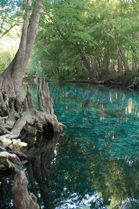 6 Orlando Photo Spots for Stunning Wildlife Photos